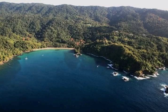 A quiet bay on Tobago's wild north coast